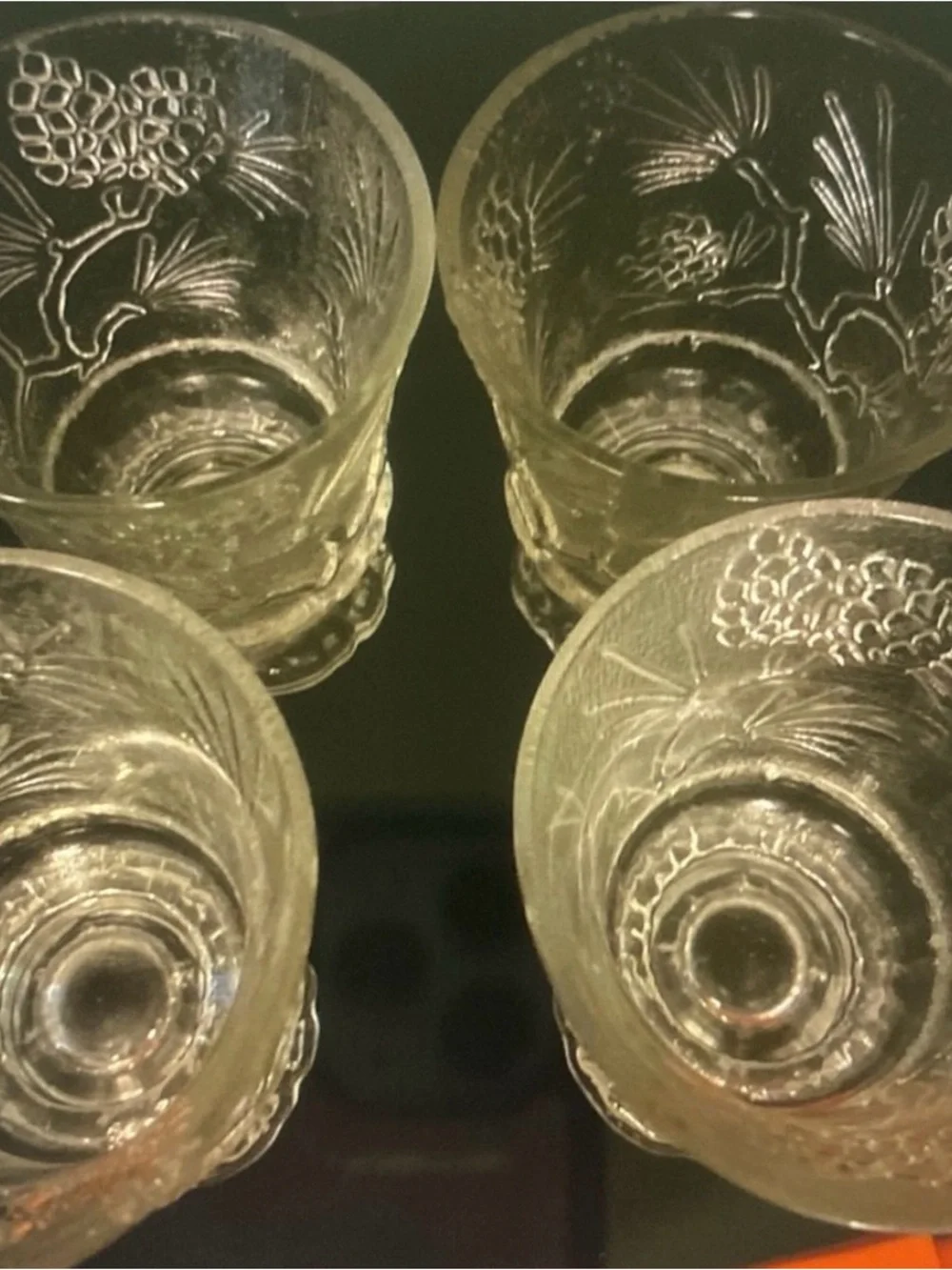 Ponderosa 1970’s Dessert cup